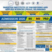 pias fellowship