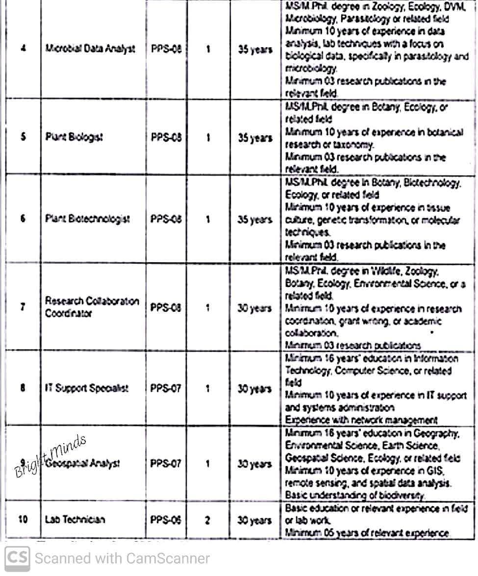  Changa Manga Project Jobs