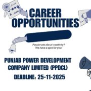 Punjab Power Development Company Limited (PPDCL)
