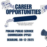 PPSC Jobs Advertisement 44/2025