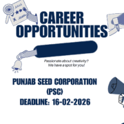 Punjab Seed Corporation Jobs